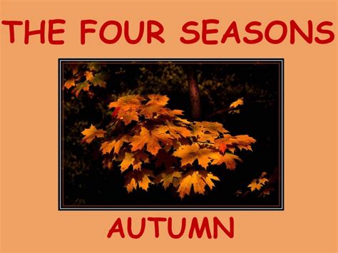 4 Seasons Autumn Review 2024