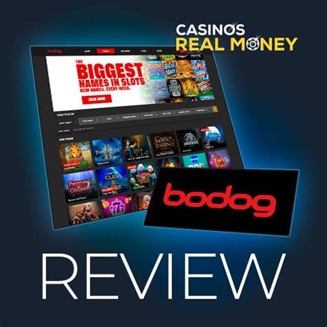 Bodog player confused over casino s closure