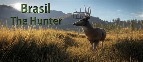 Jogar Safari Hunter no modo demo