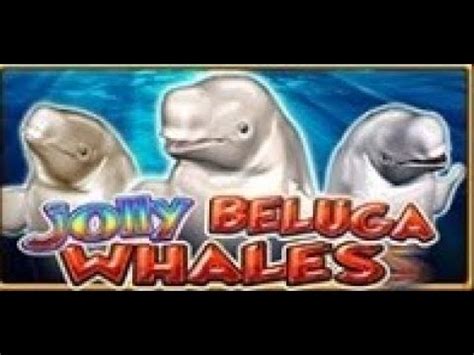 Jolly Beluga Whales Novibet