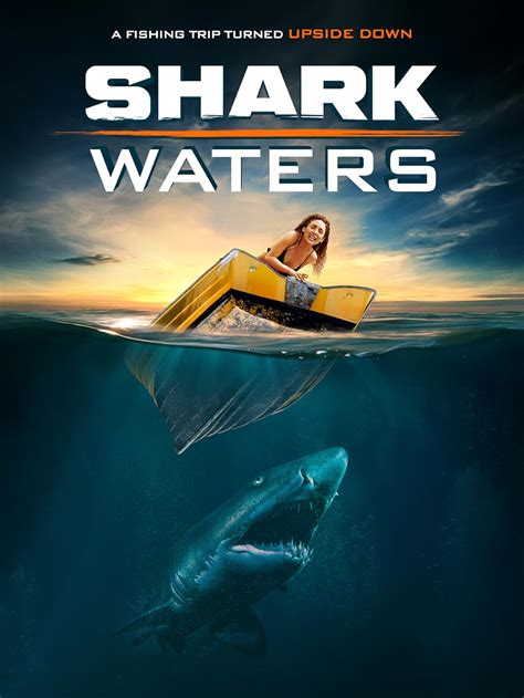 Shark Shore Review 2024