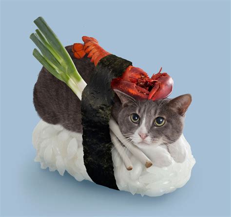 Sushi Cat Parimatch